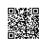 RT0402BRD071K24L QRCode