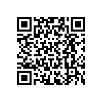 RT0402CRD0743KL QRCode