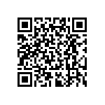 RT0402DRD07300RL QRCode