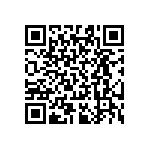 RT0603BRB07300KL QRCode