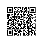 RT0603BRB07300RL QRCode