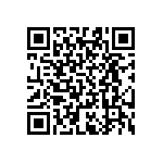 RT0603BRB07412RL QRCode