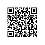 RT0603BRB0795R3L QRCode