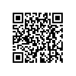 RT0603BRD07316KL QRCode