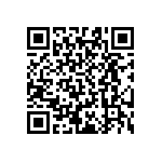 RT0603WRD07866RL QRCode