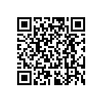 RT0805FRD07300KL QRCode