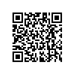 RT1206BRB073K9L QRCode