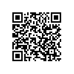 RT1206BRB0747RL QRCode