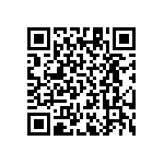 RT1206BRB0749K9L QRCode