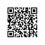 RT1206BRB07649KL QRCode