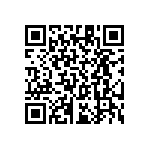 RT1206BRC07133RL QRCode