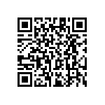 RT1206BRC0713K3L QRCode