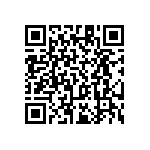 RT1206BRC0713R3L QRCode