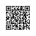 RT1206BRC07143RL QRCode