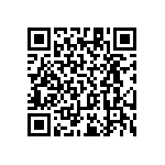 RT1206BRC0719R1L QRCode