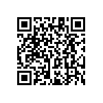 RT1206BRC071K33L QRCode