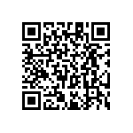 RT1206BRC071K96L QRCode