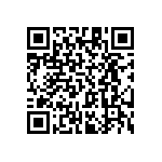 RT1206BRC0724K9L QRCode