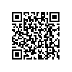 RT1206BRC07287RL QRCode