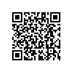 RT1206BRC07300RL QRCode