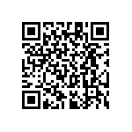 RT1206BRC07309RL QRCode