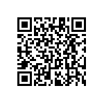 RT1206BRC073K24L QRCode