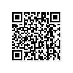 RT1206BRC0743R2L QRCode