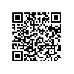 RT1206BRC07453RL QRCode