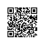 RT1206BRC07887RL QRCode