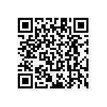 RT1206BRC078K87L QRCode