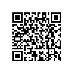 RT1206BRD07160KL QRCode