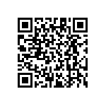 RT1206BRD0716K9L QRCode