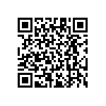 RT1206BRD07174KL QRCode