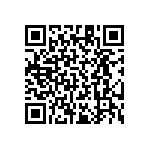 RT1206BRD0717K4L QRCode