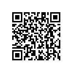 RT1206BRD071K13L QRCode