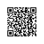 RT1206BRD07402KL QRCode