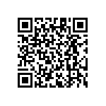 RT1206BRD07487KL QRCode