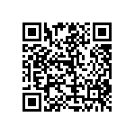 RT1206BRD074K02L QRCode