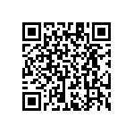 RT1206BRD074K32L QRCode