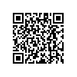 RT1206BRD07887KL QRCode