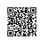 RT1206BRE0713K3L QRCode