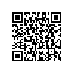 RT1206BRE0713K7L QRCode