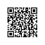RT1206BRE0713R3L QRCode