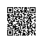 RT1206BRE0717K4L QRCode