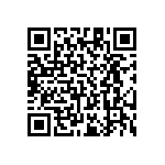 RT1206BRE0718K2L QRCode