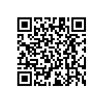 RT1206BRE07196KL QRCode