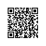 RT1206BRE0719R1L QRCode