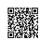 RT1206BRE0732K4L QRCode