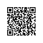 RT1206BRE07402RL QRCode