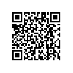 RT1206BRE07412KL QRCode